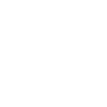 Icon of a badge with a star