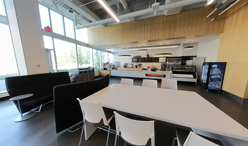 A naturally lit room with cement floors, tables and chairs in various arrangments and a cafe counter area decorated in white and light-coloured wood.