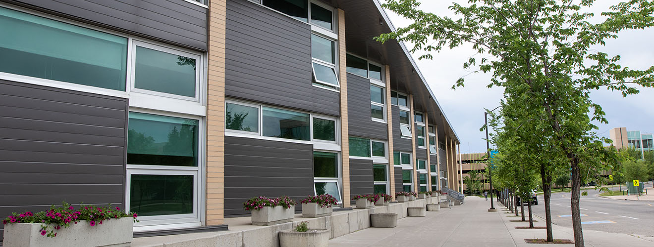 A building with a row of triangle cut outs. The walls are horizontal dark gray slats and metal framed windows. The path is lined with trees and flower boxes.