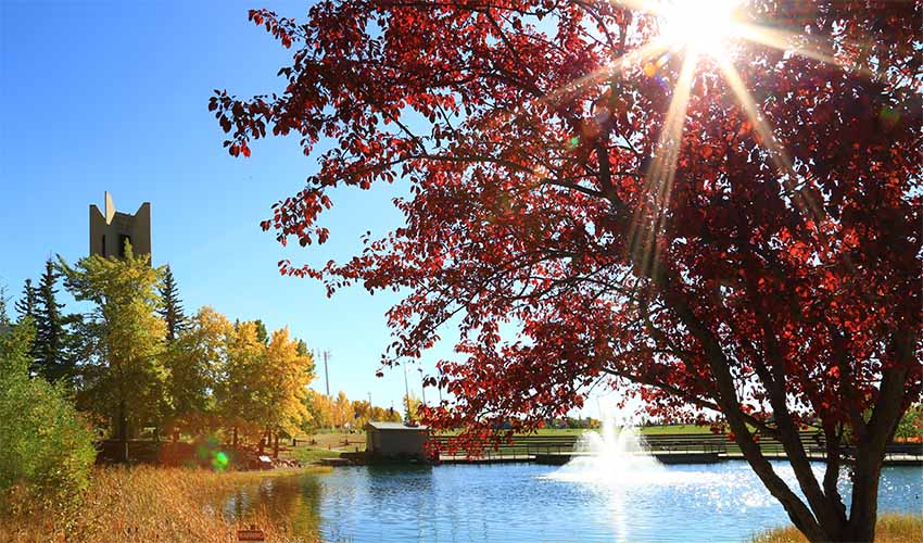 Photo of the Charlton Pond in autumn. The carillon is visible behind the fountain and everything is frames with trees in fall colours.