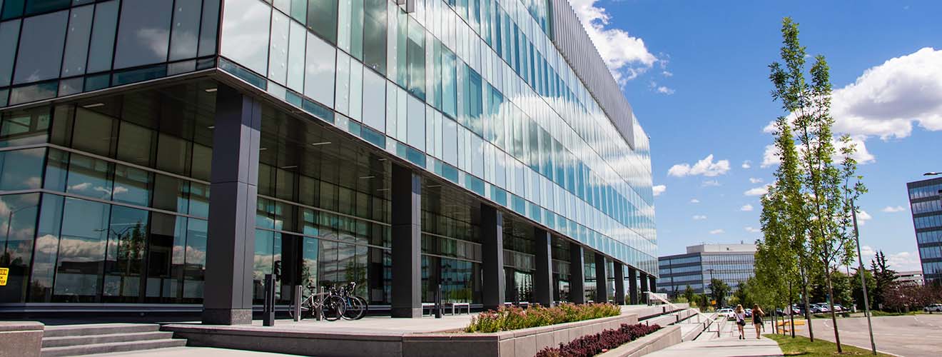 Photo of the Riddell Library and Learning Centre from the east side. It's a blue tinted glass building with rows of decorative metal details and concrete steps and garden beds.