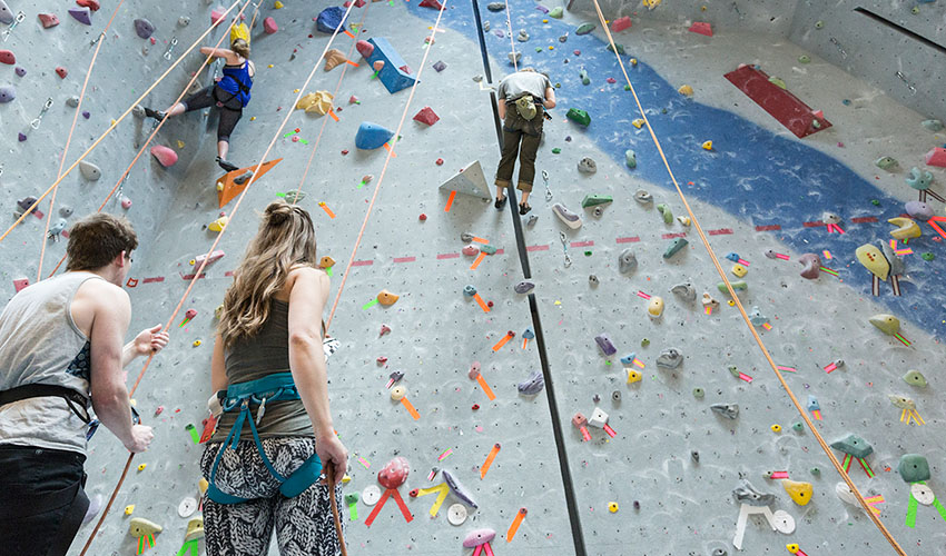 Photo of the Cougars Athletics and Recreation climbing wall with people doing top-roping.