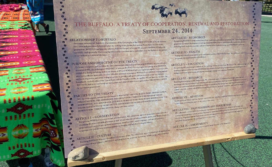 The Buffalo Treaty emphasizes the buffalo's role in Indigenous cultures, and commits the signatories to work together to reintroduce buffalo herds, protect their natural habitats, and ensure their sustainable management.