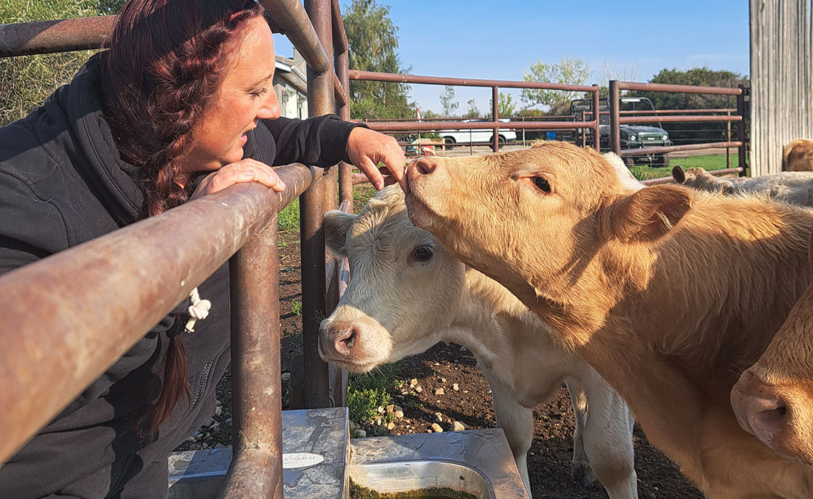 MRU alumna Tricia Fehr tending to cattle.