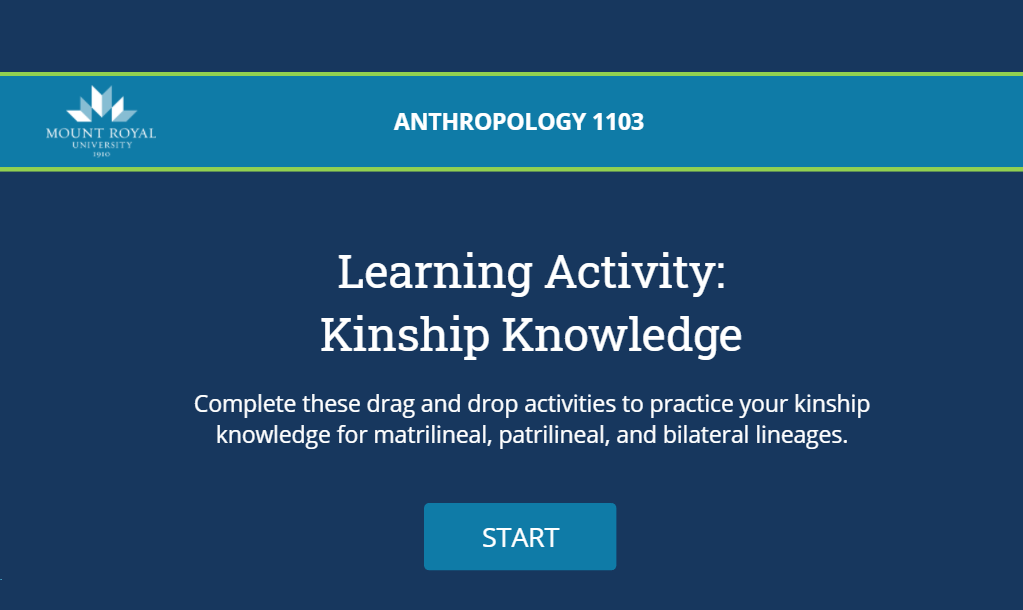 Drag and drop activity about kinship knowledge