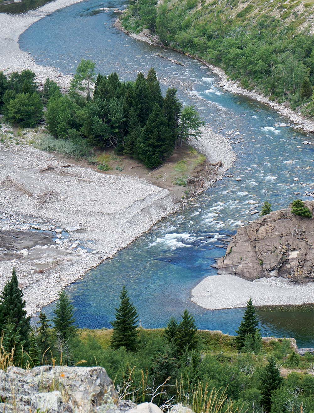 A winding river framed by coniferous trees and rocky beaches.