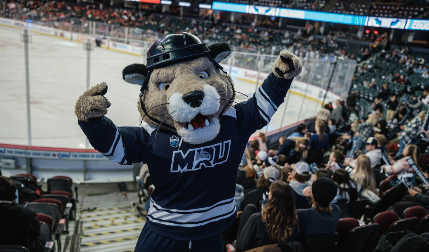 Calvin the Cougar cheering during Crowchild Classic