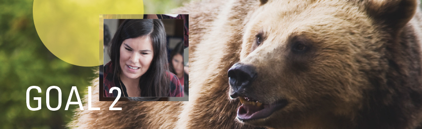 A bear partially covered with a geographic design and a photo of an indigenous student