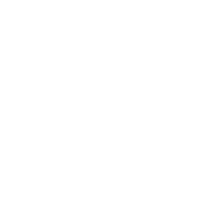 Icon of checklist