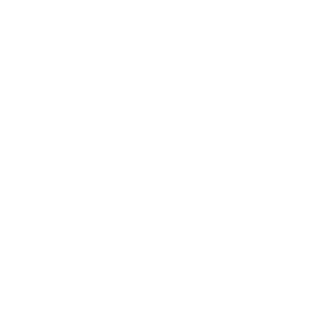 Icon of interconnected dots