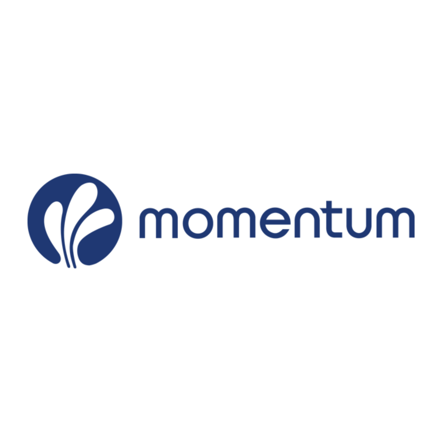 Logo_Momentum